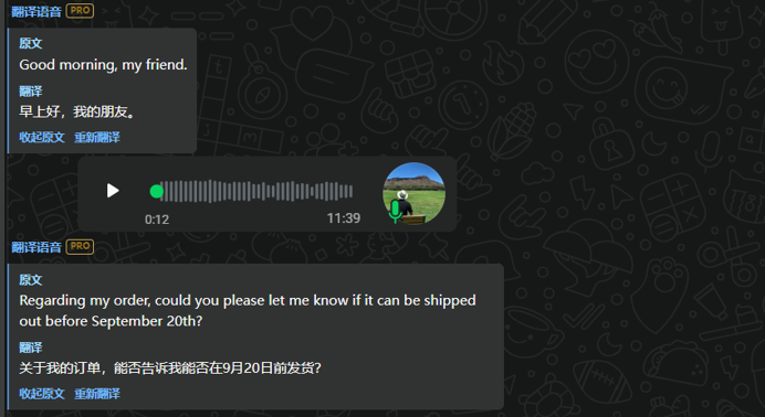 DUBI 语音消息翻译真人产品截图